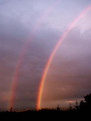 Double Rainbow