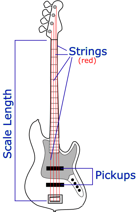 Bass Guitar Anatomy