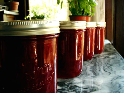 Jars of Plummy Yummy