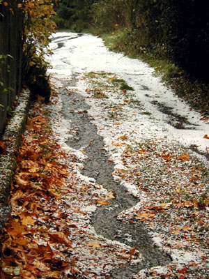 Hail in the driveway