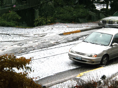 Hail in the street