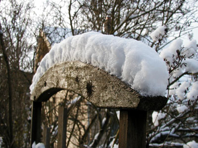 Snow on the trellis